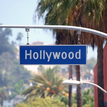palm trees hollywood sign psychic services